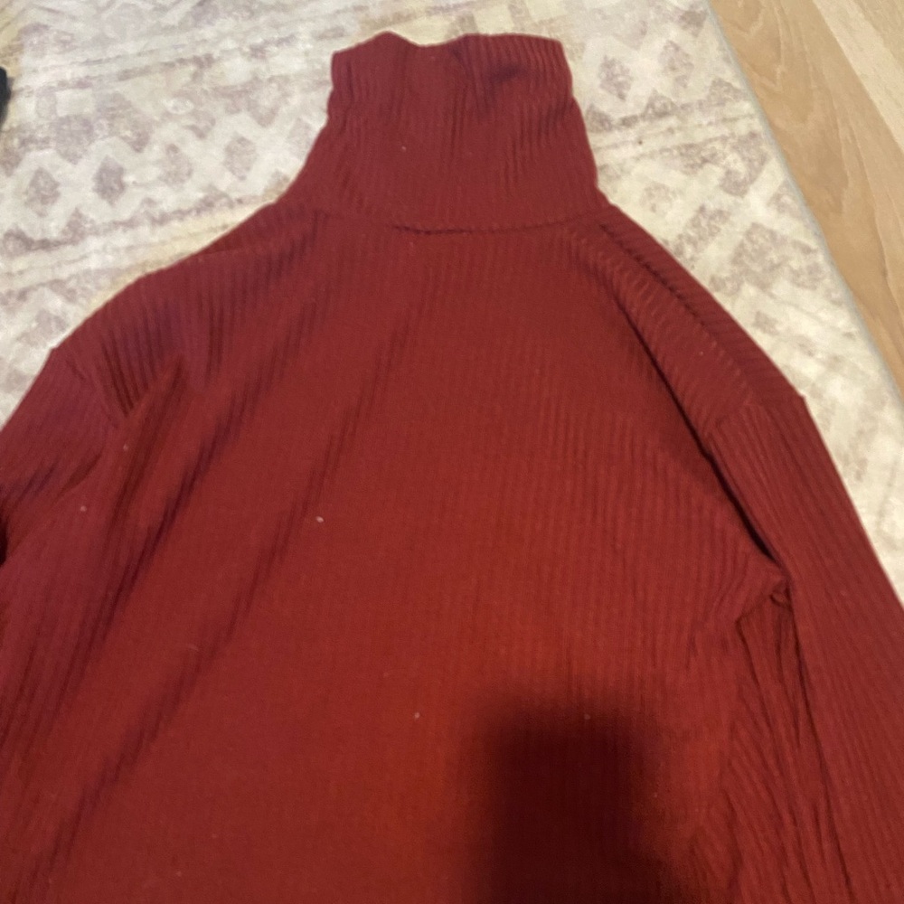 Shein Maroon Long Sleeve TurtleNeck